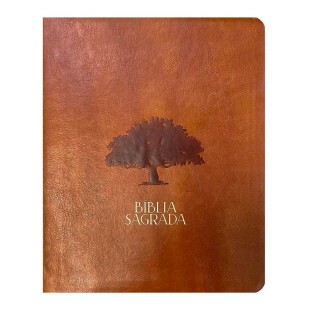 Bíblia mulheres Figueira - NVT - 1 coluna