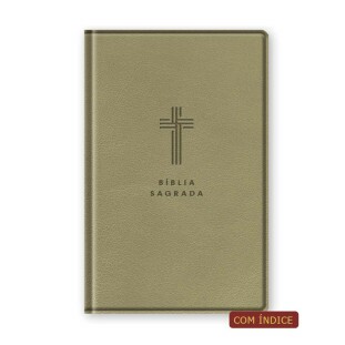 Bíblia letra gigante NVI - bege c/índice