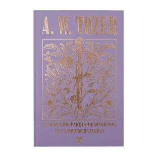 Este mundo: parque de diversões ou campo de batalha