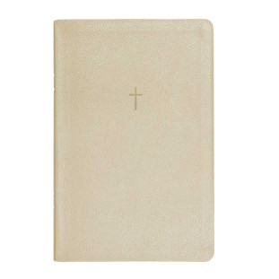 Bíblia letra grande NAA - bege