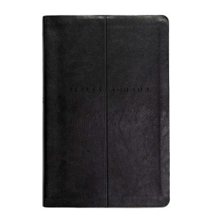 Bíblia slim NVI - preta