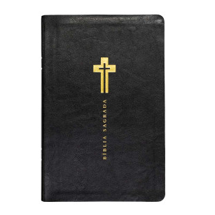 Bíblia letra grande NVI - preta