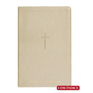 Bíblia letra gigante NVT - bege c/índice