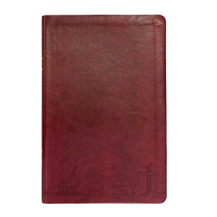 Bíblia letra grande NVT - vinho