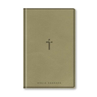 Bíblia letra gigante NAA - Bege