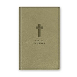 Bíblia letra gigante NVI - bege