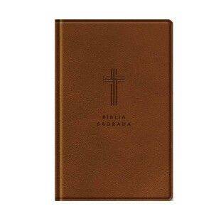 Bíblia letra gigante NVI - marrom