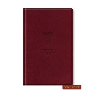 Bíblia letra gigante NVI - vinho c/índice