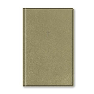 Bíblia letra grande NAA - bege