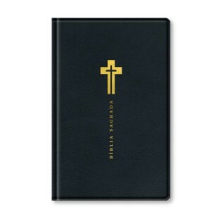 Bíblia letra grande NVI - preta