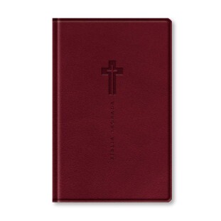 Bíblia letra grande NVI - Vinho