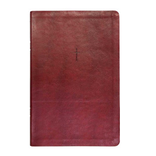 Bíblia letra grande NAA - vinho