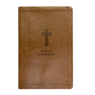 Bíblia letra gigante NVI - marrom