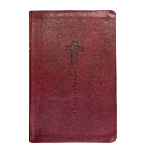 Bíblia letra grande NVI - Vinho