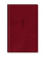Bíblia slim NAA - vinho 