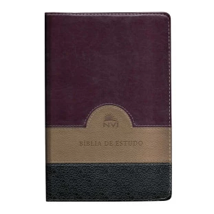 BIBLIA DE ESTUDO NVI VERDE, BEGE E VINHO